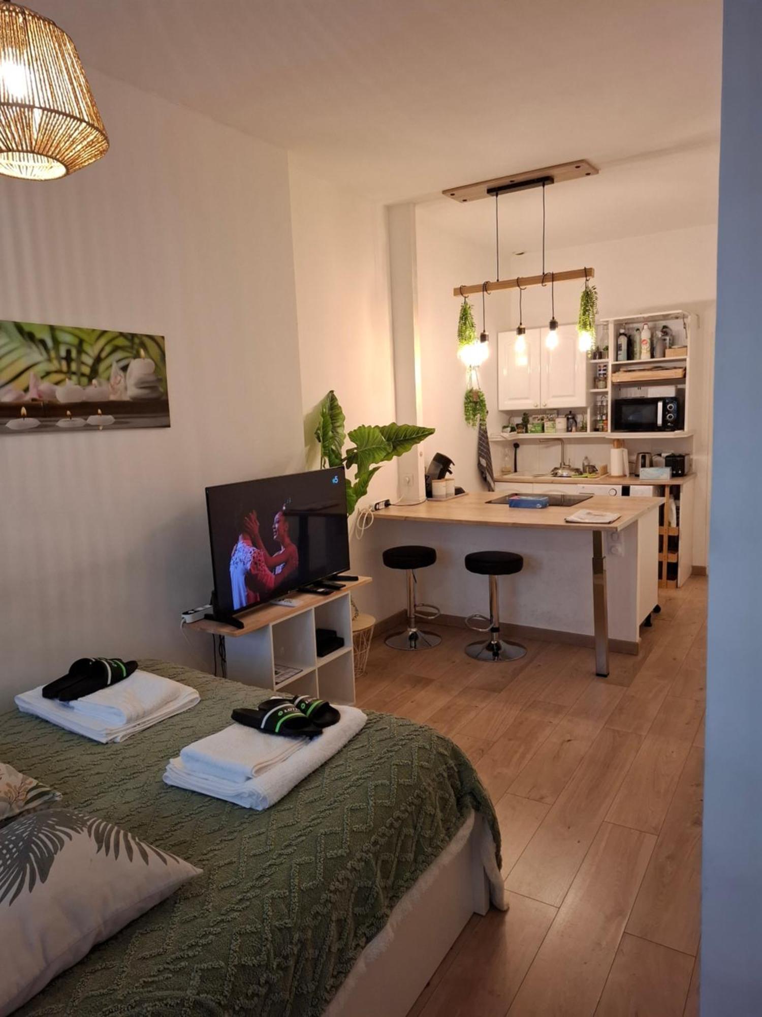 Studio La Casa De Planel Gare Saint Roch Монпелие Екстериор снимка