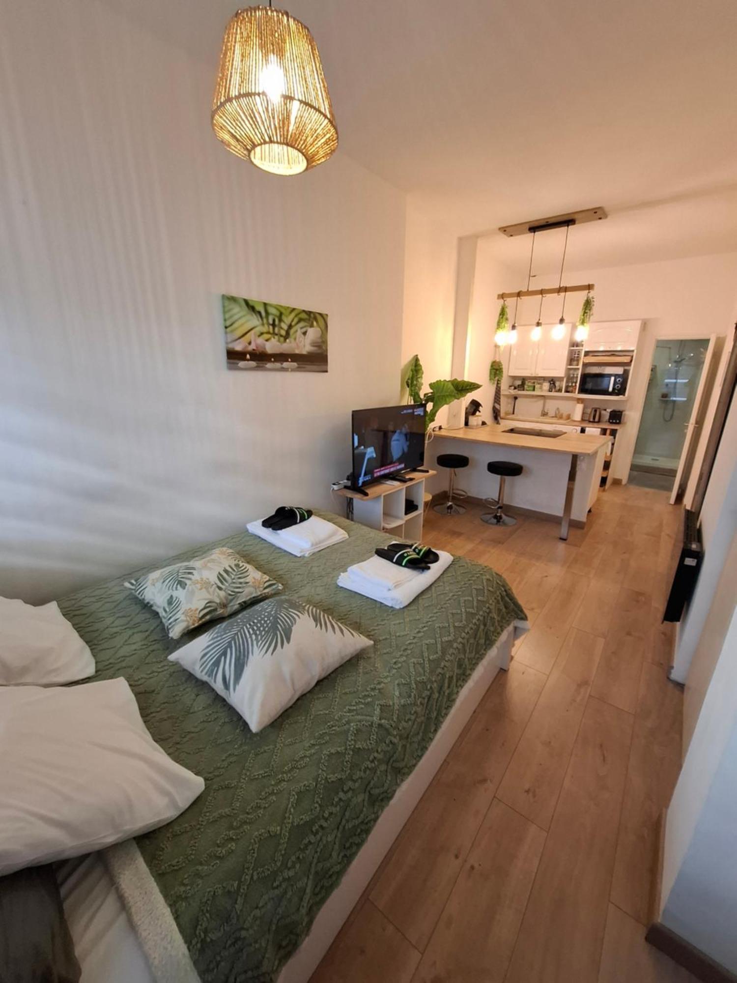 Studio La Casa De Planel Gare Saint Roch Монпелие Екстериор снимка